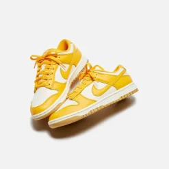 Dunk Low Retro