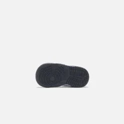 Dunk Toddler Low