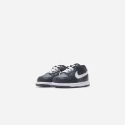 Dunk Toddler Low