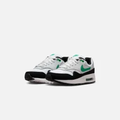 Gs Air Max 1