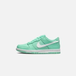 Gs Dunk Low