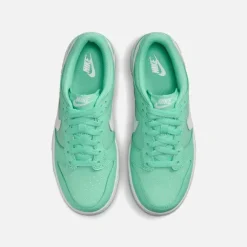 Gs Dunk Low