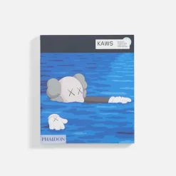 Kaws Contemporary Artists Series