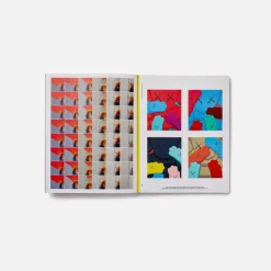 Kaws: What Party