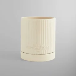 Kith For New York Botanical Garden Planter