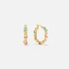 Paire De Creoles Twistees Rainbow Hoop Earrings