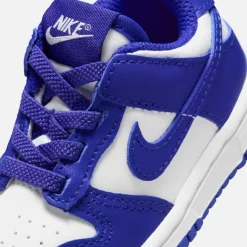 Td Dunk Low