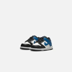 Td Dunk Low